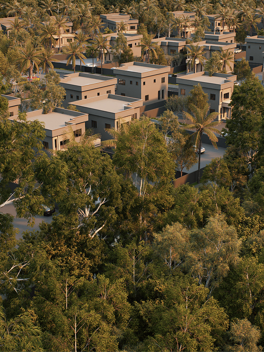 Town Developments